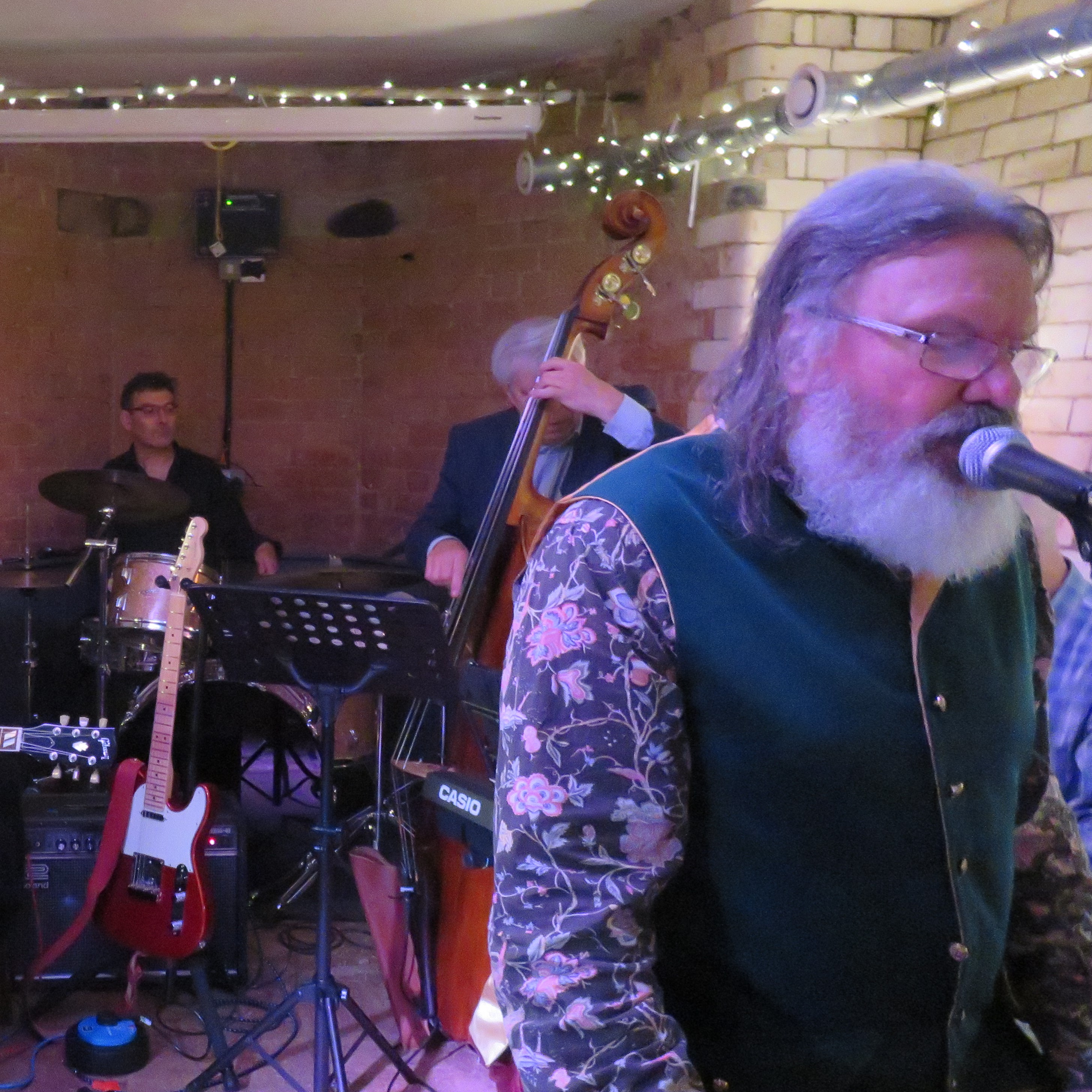 “Blues In My Veins” by Kenny Wilson and The Lizzards